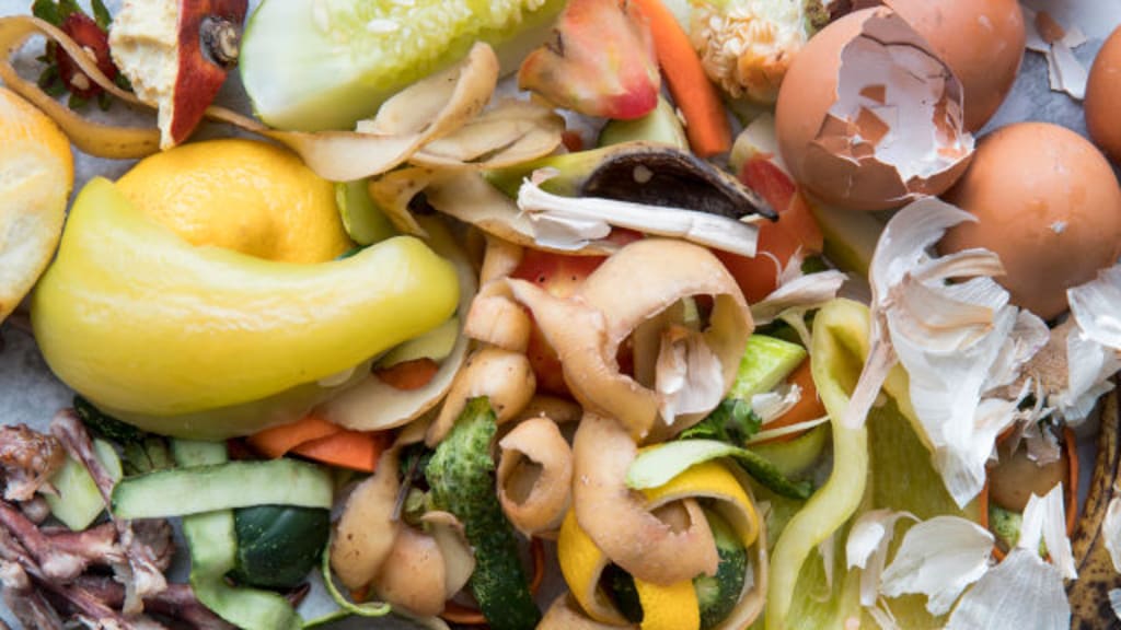 Guide to managing food waste